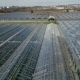 Aerial Shot Greenhouses For Growing Vegetables - VideoHive Item for Sale