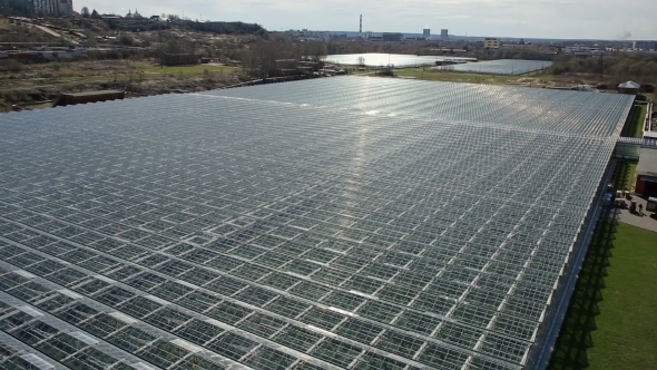 Industrial Agricultural Greenhouses alt