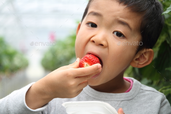 Japanese boy eating strawberry (first grade at elementary school)