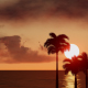Ocean with Palm Trees at Sunset - VideoHive Item for Sale