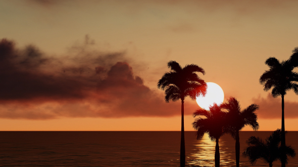 Ocean with Palm Trees at Sunset