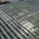 Agricultural Industry Greenhouse - VideoHive Item for Sale