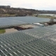 Aerial Shot Of Large Greenhouses - VideoHive Item for Sale