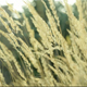 Straw in Wind - VideoHive Item for Sale