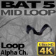 Bat 5 - VideoHive Item for Sale