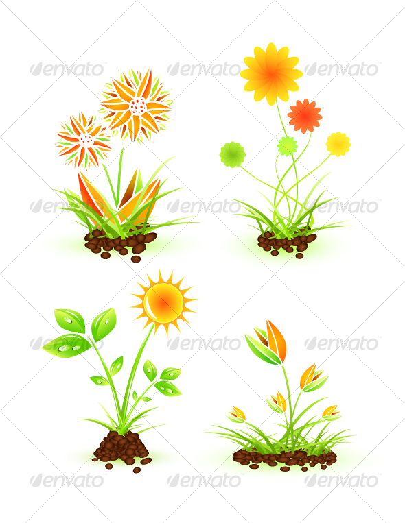 Vector flowers - Decorative Vectors