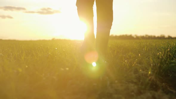 Agricultural Business alt