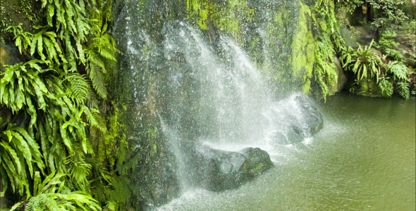 Waterfall With Green Leafs