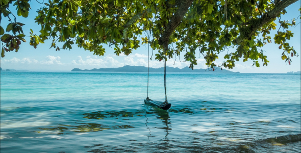 Tree With Lonely Swing And Sea
