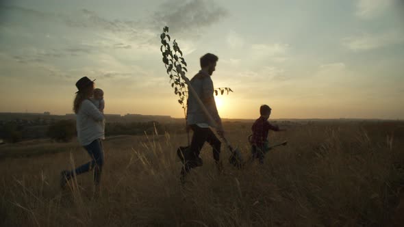 Family Planting Tree in Evening in Nature