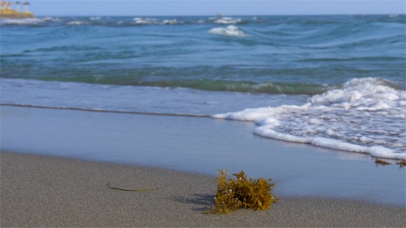 Sea Waves