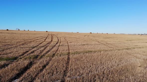 Harvested Wheat Field With Straw Rolls, part 1