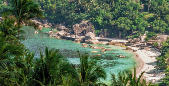 Tropical Laguna Beach alt