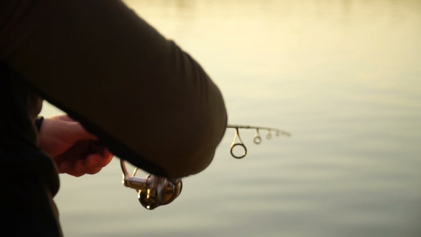 Fisherman Catching Predatory Fish With Spinning on the Lake alt
