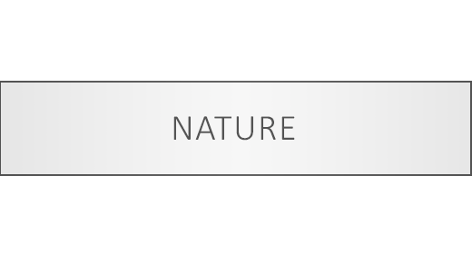Nature Sounds