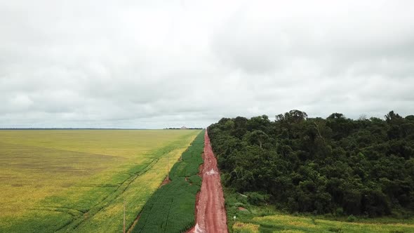 Aerial image shows the soybean plantation divided by a production flow road on one side and the Amaz alt