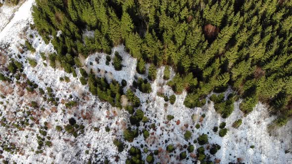 Beautiful Winter Landscape on the Lake Offensee in the Mountains in Upper Austria Salzkammergut alt