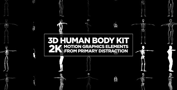 3D Human Body Kit
