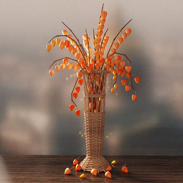 Vase with physalis - 3Docean 16027848