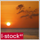 Sunset  - VideoHive Item for Sale