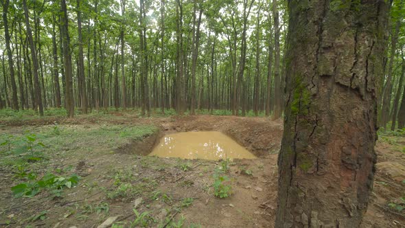 Ponds The Sustainable Way For Water Harvesting