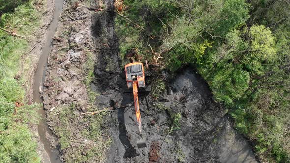 A Crawler Excavator Fells Trees and Digs the Ground