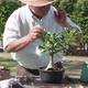 Asian retirement grandfather watering the plants after changing soil and pot at the garden home - VideoHive Item for Sale