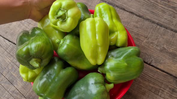 women's hands put green peppers on a tray