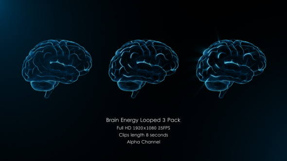 Brain Energy Looped 3 Pack