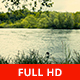 Bird and River Flowing - VideoHive Item for Sale