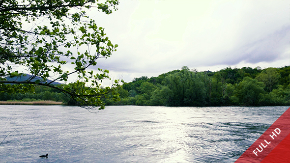 River Flowing and Vegetation in a Cloudy Day