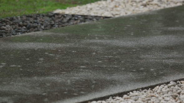 Tropical Downpour,  alt