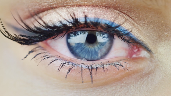 The Eye Of a Young Woman With Blue Eyes alt