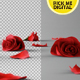 Falling Roses Version 01 - VideoHive Item for Sale