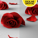 Falling Roses Version 02 - VideoHive Item for Sale