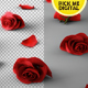 Falling Roses Version 03 - VideoHive Item for Sale