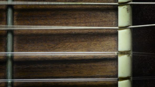 Acoustic Guitar Fretboard and Nut Close Up