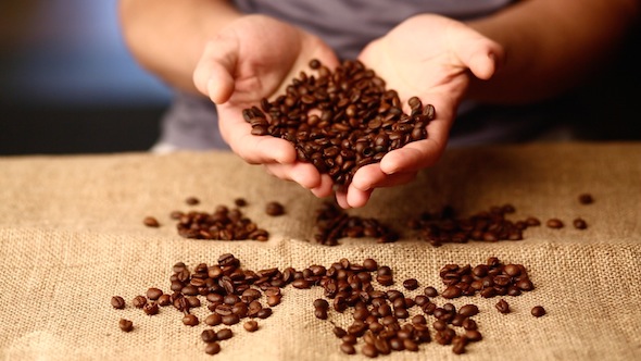 Sorting Coffee Beans