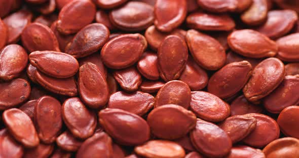 Red Melon Seed for Chinese New Year