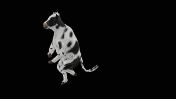 Cow Dance HD alt