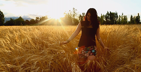Woman Walking In a Wheat Field alt