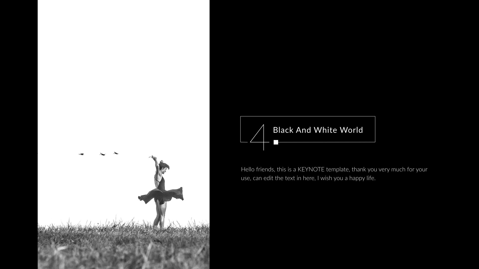 Black And White Template from s3.envato.com