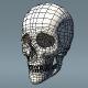 Human Skull Polygon Mesh V1.0