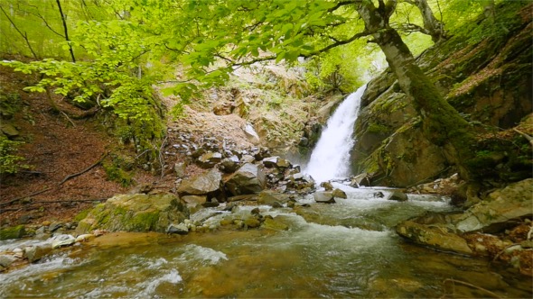 Waterfall With Tree In The Forest alt