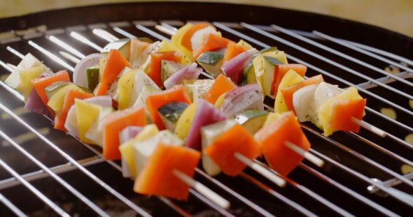 Healthy Colorful Kebabs With Fresh Vegetables alt