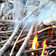 Bonfire - VideoHive Item for Sale