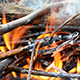 Bonfire 1 - VideoHive Item for Sale