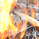 Bonfire 2 - VideoHive Item for Sale