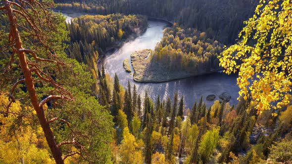 Autumn Nature Landscape. Oulanka National Park, Finland. Idyllic Picture of Yellowed and Evergreen alt