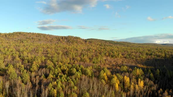 Aerial Flying From Drone Over a River, Fall Forest, Hill and Asphalt Road